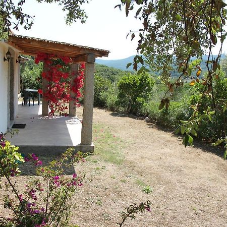 La Puntaccina Villa Aglientu Exterior photo
